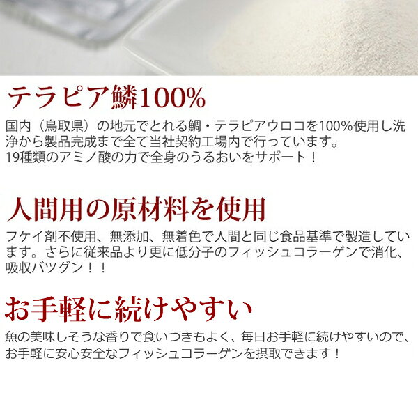 フィッシュコラーゲン 200g【犬猫 サプリメント】犬 コラーゲン サプリメント 粉末 毛艶 関節 皮膚 ジョイント 犬 ケア ペットのサプリ メント ねこ 犬の関節サプリメント ペット 犬用 犬用サプリメント ドッグ ashudog-10008956 愛犬手作りご飯 ハウンドカム食堂 サンプル画像3