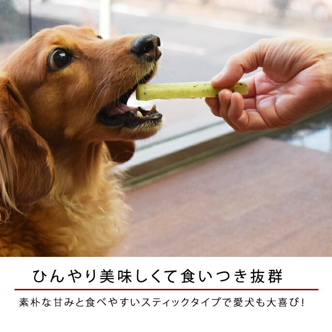 犬用アイス　12本（6つの味×各2本）スティックアイスキャンディー　犬用スイーツ　フルーツアイス　シャーベット　犬用おやつ　無添加　砂糖不使用【ハウンドカム食堂】水分補給　幼犬　ヤギミルク　老犬　成犬※季節によりスイカミルク味はイチゴミルク味に変わります 2