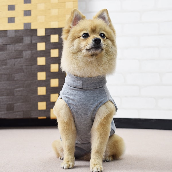 犬用 術後カバー服 小・中型犬用（サイズ30・33・36）シュナウザー ダックス シー...