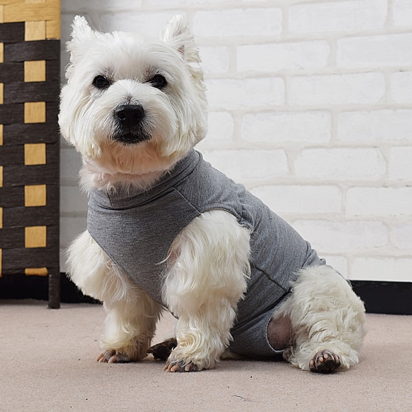 犬用 術後カバー服 小・中型犬用（サイズ30・33・36）シュナウザー ダックス シー...