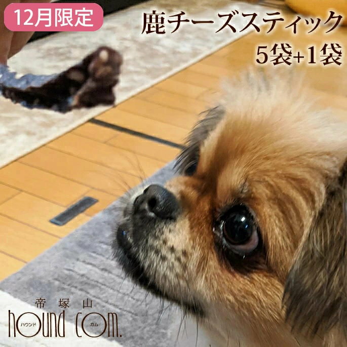 【12月限定】愛犬用おやつ　食べないはずない！？　鹿チーズスティック　5袋セット+1袋プレゼント 簡単 おすすめ スイーツ おやつ トッピング 減塩チーズ使用　食いつき 良いのサムネイル