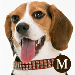 愛犬 首輪 ASHU クリスタルレザー カラー（首輪）M【中型犬 本革】【ペット 犬 いぬ イ...