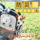 【割引クーポン配布中】愛犬愛猫用 PFI キャリー バッグ ライトグレー レギュラー 防災用 リュック バッグ ドライブボックス お出かけに 旅行先に 折りたた...