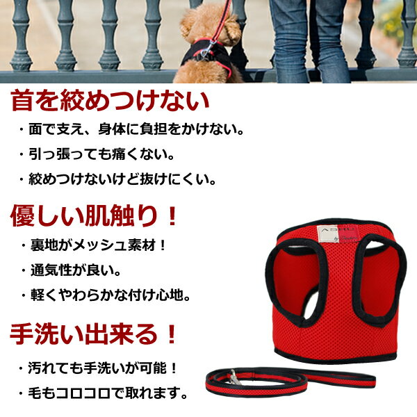 ハーネス 小型犬 リードセットM 送料無料【トイプードル マルチーズ ハーネスリード 老犬 もソフトなメッシュで痛くない 犬リード 犬ハーネス チワワ パグ ダックス 服 胴輪 シニア おしゃれ 犬のハーネス 犬用ハーネス ハーネス犬 散歩 かわいい】 アッシュ 洋服の上から