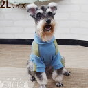 【ポイント5倍】犬用 秋冬ウェア 犬の服 Cinofilo ワッフル切り替えハイネック 2Lサイズ 犬用 ウェア 秋冬 服 帝塚山ハウンドカム