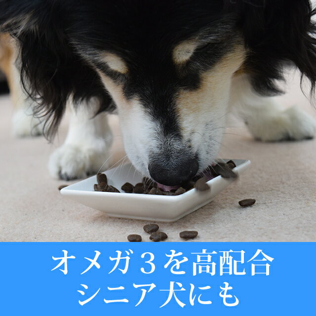 AATU（アートゥー）サーモン ドッグフード 1.5kg【犬 グルコサミン コンドロイチン ドライフード 乳酸菌 成犬 老犬 グレインフリー 帝塚山ハウンドカム 小粒 皮膚 毛艶 オメガ3 ペット用品 ドックフード ペットフード】【a0338】