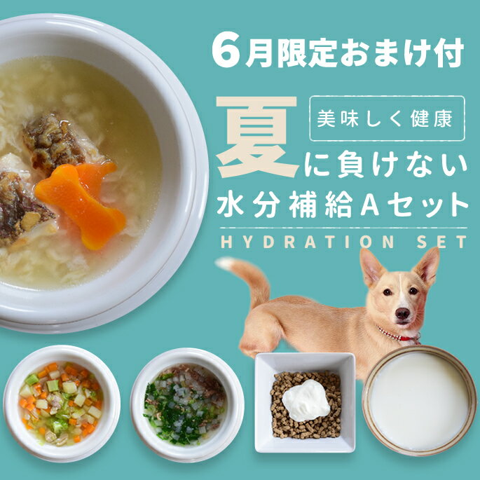Rakuten - 【6月限定】水分補給セットがお買い得！【夏季限定】水分補給セットA【冷凍便】犬 猫 夏 水分不足 栄養 トッピング 食いつき シニア 子犬 ごはんに 手作り食 手作りごはん 犬用手作り ドッグフード