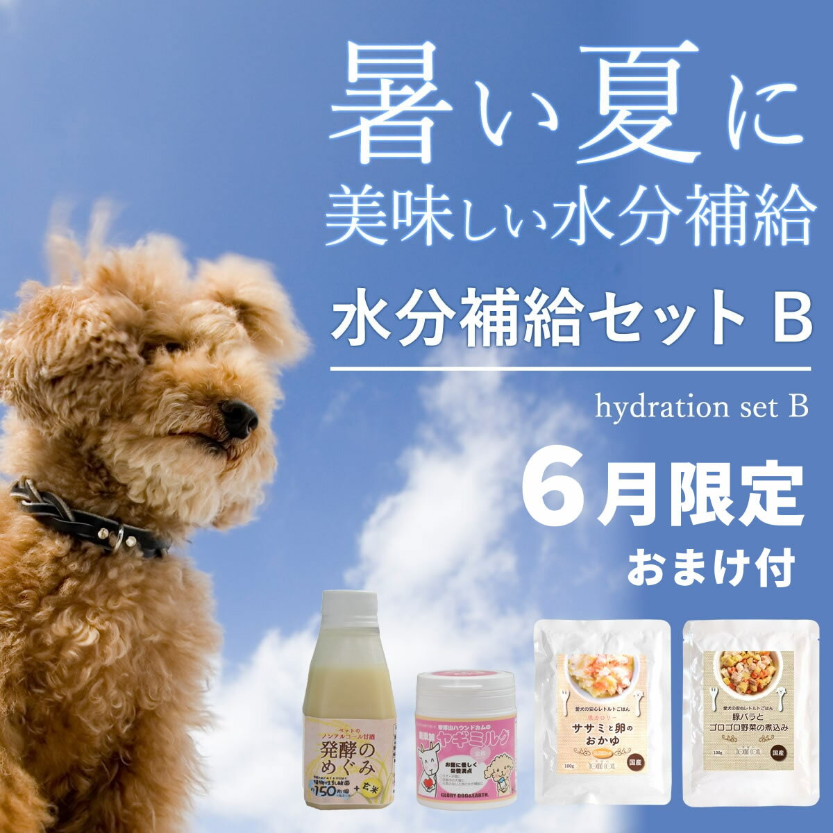 Rakuten - 【P2倍＆割引クーポン配布中】【6月限定】水分補給セットがお買い得！【夏限定】夏にピッタリ水分補給セットB　常温商品　愛犬　愛猫　暑い季節　水分不足　水分　栄養　トッピング　食いつき　シニア　子犬　ごはんに　手作り食