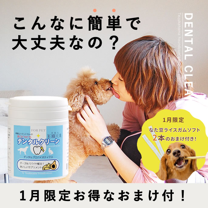 ��1�����ۤ��������祭���ڡ��󡪤����Ԥ��Ԥ� �ǥ󥿥� ���꡼�� 90g���� �ϥߥ��� �Ϥߤ��� ���ץ� �����⥱�� ���� ���ץ���� �ǥ󥿥륱������ ...