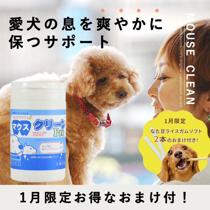 ��1�����ۤ��������祭���ڡ��󡪸� ���᤭ �ޥ������꡼��Pro 100g ̵ź�� �� ���� �ǥ󥿥륱�� �ޥ������� ��ñ ����Ķ� ���٤� ���᤭ ��...