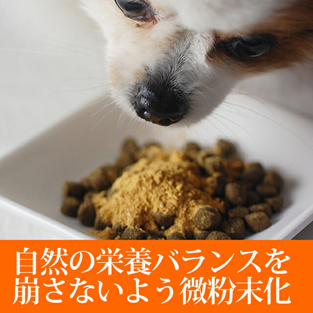 犬用サプリメント クリアC 60g×2個セット ビタミンC 老犬 猫にも評判 ペット用 健康 目 皮膚 手作りごはんのビタミン補給に【a0010】