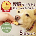 犬 腎臓ケア おやつ オリジナルクッキー腎ケアプラス 80g 5袋セット 犬 おやつ 無添加 腎臓 腎臓ケア 国産 安心 オヤツ トリーツ 腎臓病 犬 低たんぱ...