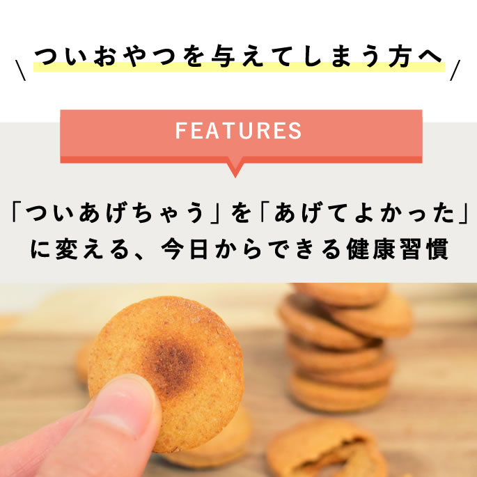 【割引クーポン配布中】犬 おやつ 腎臓｜腸活！きな粉ヨーグルトのしっとりクッキー【冷凍便】無添加 国産 カルシウム補給 低リン 低ナトリウム 低カリウム 低たんぱく 柔らかい 投薬補助 薬飲ませる グッズ 子犬 老犬 シニア ビスケット 手で割れる ashudog-10014201 愛犬手作りご飯 ハウンドカム食堂 サンプル画像2