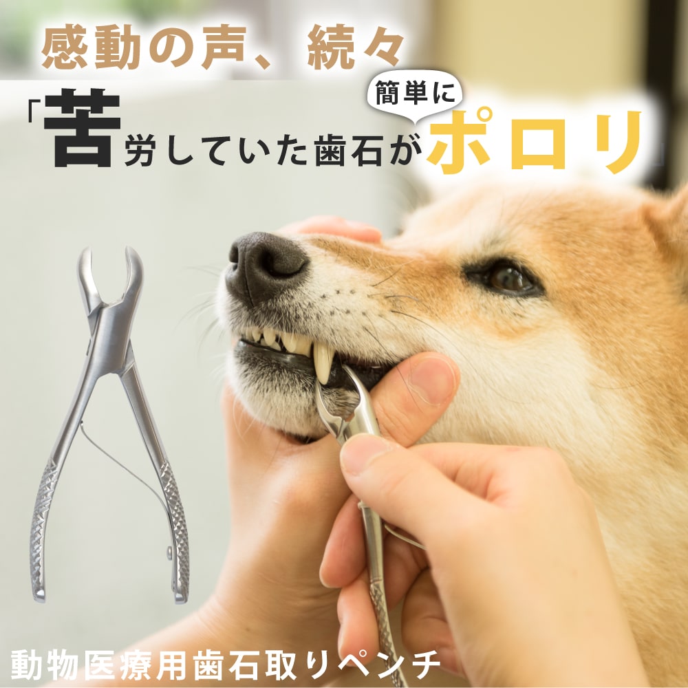 サンプル画像2