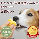 食堂の手作りチーズスフレ 6個セット 手作り 低リン 低たんぱく 低タンパク 腎臓ケア 腎臓に優しい スイーツ 犬用 ケーキ オヤツ 腎臓 柔らかい やわらかい...