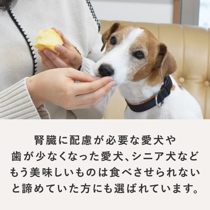 �� ��¡���� ����ġÿ�Ʋ�μ�����������ե� 12���� ̵ź�� ���� �㤿��Ѥ� Ϸ�� ���餫 ������� ������ ��ǰ���Υ������ˤ�