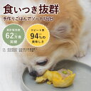 犬 手作り ご飯手作り食 食いつき抜群7食セット 【ハウンドカム食堂】 冷凍便 ドッグフード 国産 無添加 食べない ドライフード 療法食 トッピング 栄養補助...