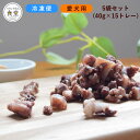 犬 おやつ 近江牛 のコロコロ なんこつ 5袋セット(40g×15トレー) 国産 無添加 ウェットフード 冷凍便 牛肉 ビーフ 水分補給 消化に優しい サイコロ...