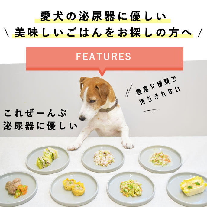 犬 手作りご飯｜尿路ケア手作りごはん7品目セット 腎臓・泌尿器に配慮 無添加 ウエットフード トッピング 水分補給 低リン 低ミネラル 老犬 シニア 食いつき抜群 栄養補給 ashudog-10014286 愛犬手作りご飯 ハウンドカム食堂 サンプル画像2