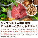 犬用 生肉 ラム肉 5kg+500g 荒挽き 小分けパック入り【ドッグフード】 犬生肉 ペットフード 犬用生肉 ミンチ 生食 手作り食 酵素 タウリン 老犬 高齢犬 シニア 幼犬 羊肉 パピー 肉　高齢犬 シニア 3