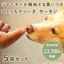 とっておきのひとくちテリーヌ サーモン 100g×5袋セット 冷凍【ハウンドカム食堂】 犬用 おやつ 無添加 国産 大型犬 しつけ 鶏肉アレルギーの子でも安心 食いつきがいい ジャーキー 少量 食べ切りサイズ