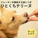 犬用おやつ とっておきのひとくちテリーヌ チーズとタラ 100g 冷凍 犬用 猫用 おやつ オヤツ トリーツ ドッグフード 無添加 国産 手作り ご褒美 犬 薬...