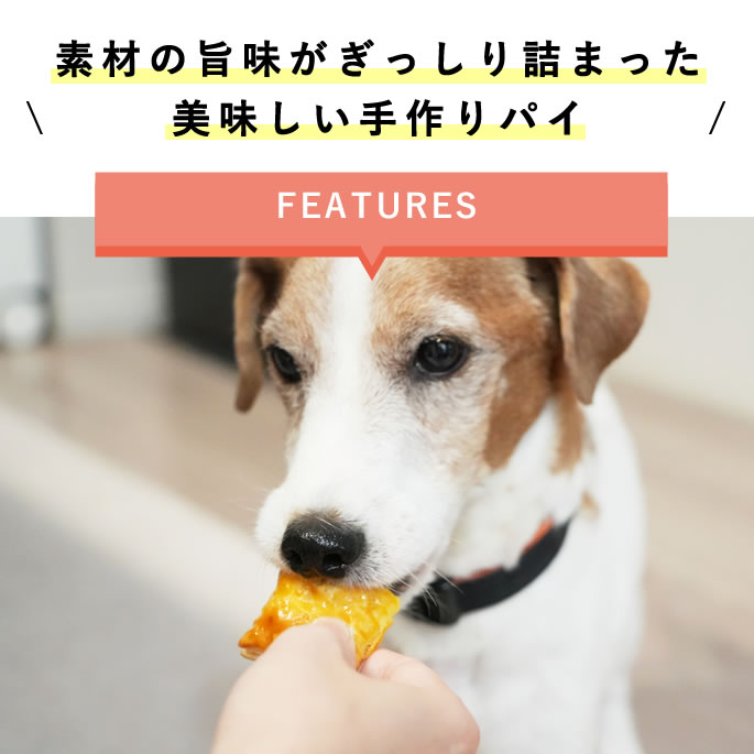 犬 おやつ 低リン｜手作りパイトリオ（アップルパイ・スイートポテトパイ・ミートパイ）3種各2個 無添加 腎臓ケア 低たんぱく シニア犬 子犬 小型犬 ご褒美 柔らか食感 偏食 食欲がない カロリー補給 ashudog-10013237 愛犬手作りご飯 ハウンドカム食堂 サンプル画像2