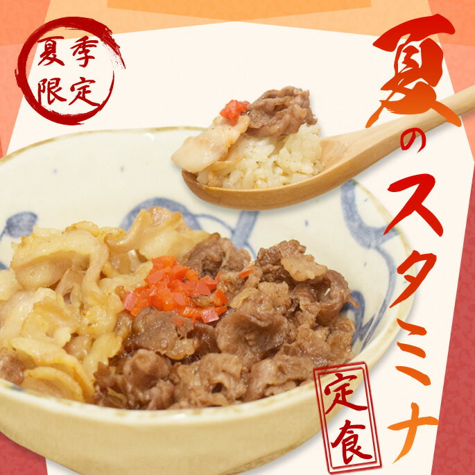 Rakuten - 【P2倍＆割引クーポン配布中】【夏季限定】 愛犬用お惣菜 夏も元気に！愛犬スタミナ定食 【ハウンドカム食堂】 【冷凍便】 無添加 国産 ペットフード トッピング 鶏肉 長芋 スープ 体力の維持 栄養補給 ウェットフード 食いつき抜群 老犬 小型犬 中型犬 大型犬 パピー