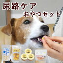 尿路ケアおやつセット【ハウンドカム食堂】【冷凍便】犬 泌尿器 尿路ケア 水分補給 手作りごはん 老犬 シニア犬 水分たっぷり 療法食 食べない 食いつき トッピ...