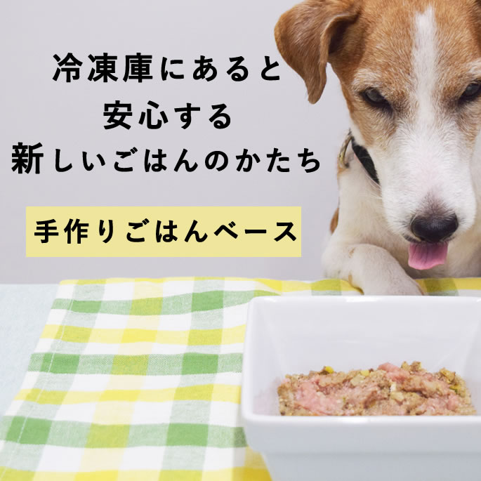 犬 手作りごはん お肉を足すだけ栄養バランスごはん 無添加 国産 トッピング ふりかけ パピー シニア 消化にやさしい ペットフード 人気 簡単 ご飯 時短 ベースフード BASE FOOD 混ぜるだけ