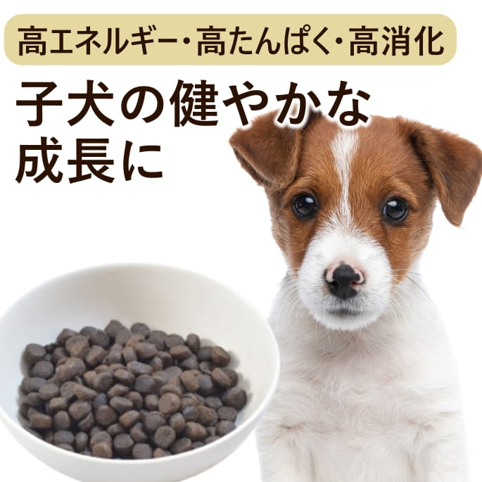 Rakuten - 【P2倍＆割引クーポン配布中】トライプドライ ドッグフード パピー＆ウェイトアップ グリーントライプ＆ワイルドサーモン 小粒