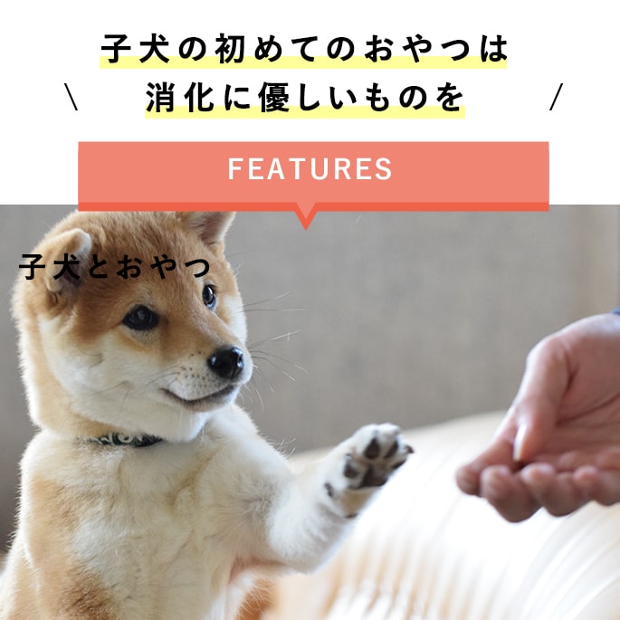 【P2＆クーポン配布中】子犬 おやつ｜初めてのおやつセット（4種）無添加 国産 柔らかい 消化にやさしい 食べやすい 食いつき しつけ ご褒美 初めてでも安心 子犬用おやつ ギフト パピー 幼犬 2ヶ月 3ヶ月 4ヶ月
