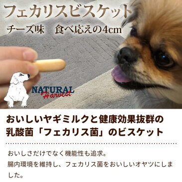 ナチュラルハーベスト フェカリスビスケットチーズ 40g　犬用　無添加　おやつ　乳酸菌入り