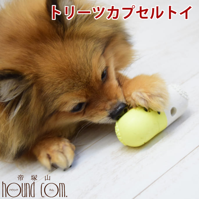 Ѥ FAD+ ȥ꡼ĥץȥ ΰȥ ץ õ Ĥˤ õ ǥ󥿥륱 ǥ󥿥ȥ Τ...