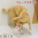 【割引クーポン配布中 】犬用おもちゃ フレックスボール【もってこい遊び】