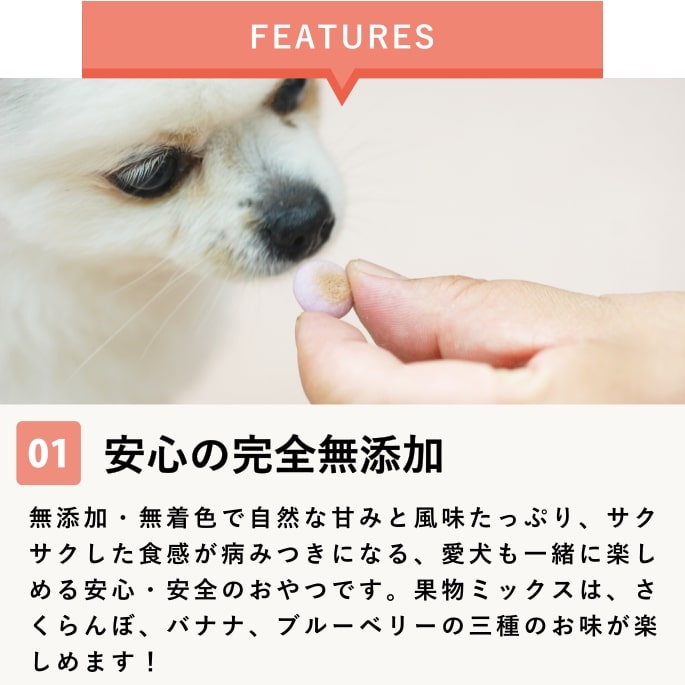 犬用おやつ｜無添加 果物ミックスボーロ 50g（ 5袋セット ）(60g→50gに順次切り替え)【無添加おやつ】国産　子犬　シニア　ご褒美　低脂肪 ashudog-10013397 愛犬手作りご飯 ハウンドカム食堂 サンプル画像2