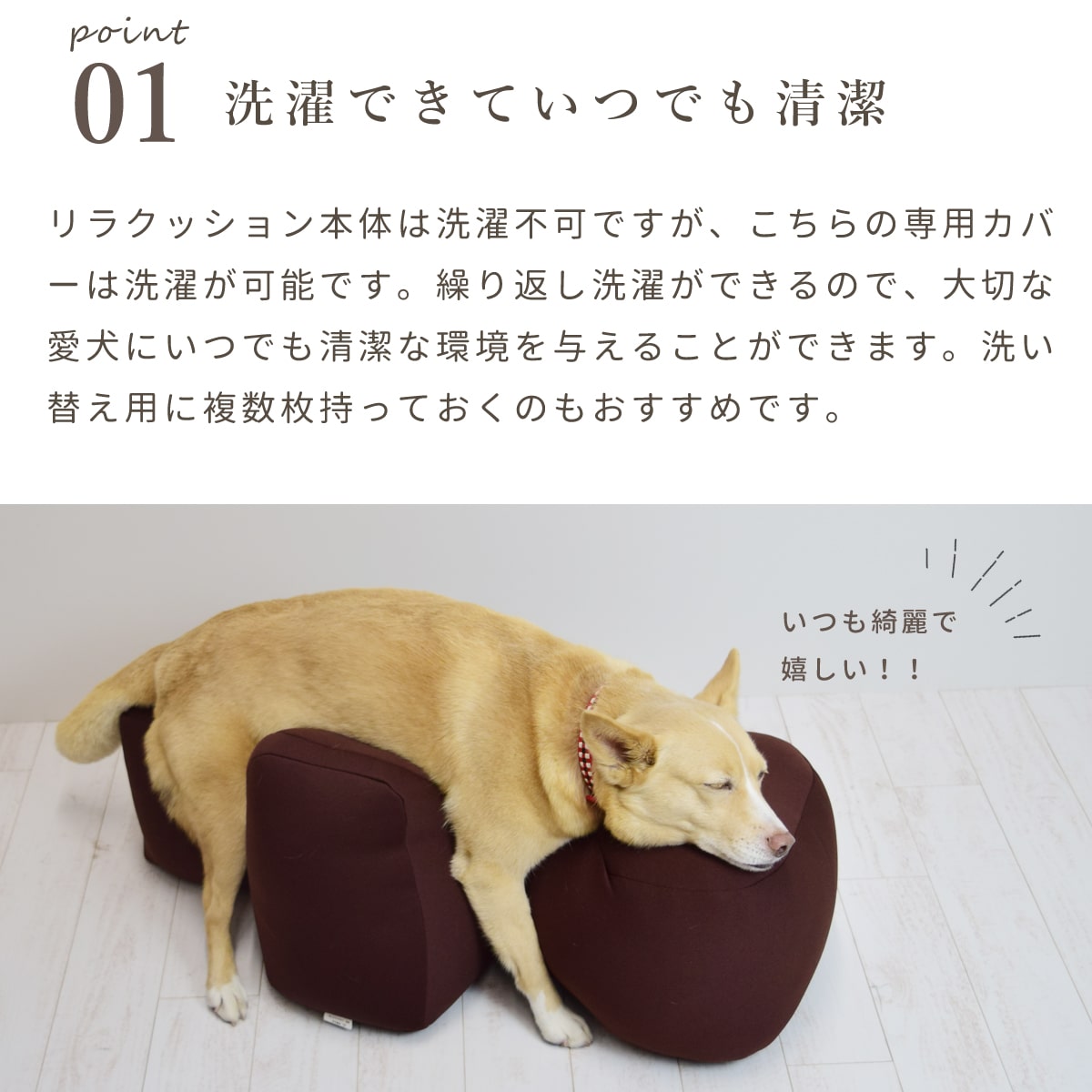 サンプル画像3