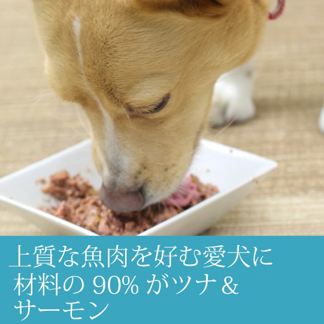 AATU（アートゥー） ドッグ　ツナ＆サーモン 缶詰 400g AATU犬用缶詰 ドッグフード 総合栄養食 ウェットフード ドック グルコサミン コンドロイチン マグロ　魚 フィッシュ 無添加 老犬 シニア ashudog-10013199 愛犬手作りご飯 ハウンドカム食堂 サンプル画像2