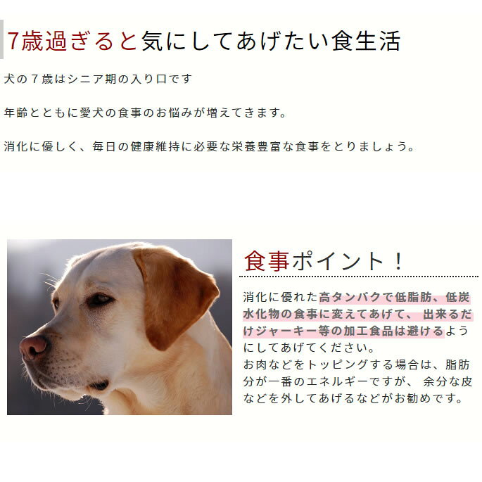 【割引クーポン配布中】老犬健康プレミアムセット【ローフードと老犬用総合サプリメント老犬元気プレミアム 不足気味になりがちオメガ3オイルのセット】送料無料【a0367】 ashudog-10011864 愛犬手作りご飯 ハウンドカム食堂 サンプル画像2