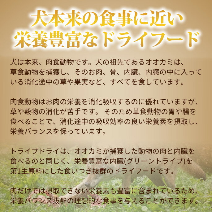 トライプドライ ドッグフード ラム 907g【ドッグフード 偏食 お試し サンプル 小食 柴犬 子犬 いぬ グレインフリー プレミアムフード ペット用品 ペットグッズ ドックフード ペット フード 犬のえさ ペットフード】ドライフード 犬 犬の餌 犬のエサ帝塚山ハウンドカム