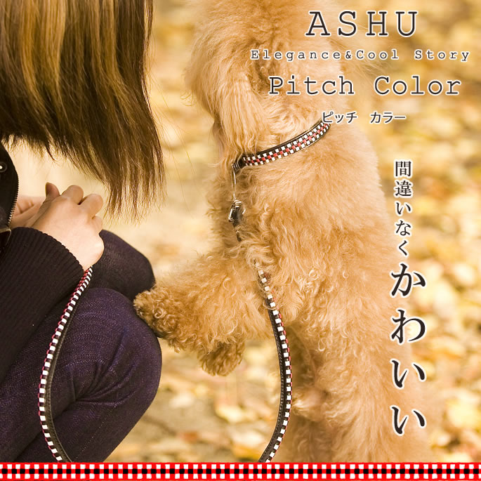 【ポイント5倍】首輪 ASHU ピッチカラーS...の紹介画像2