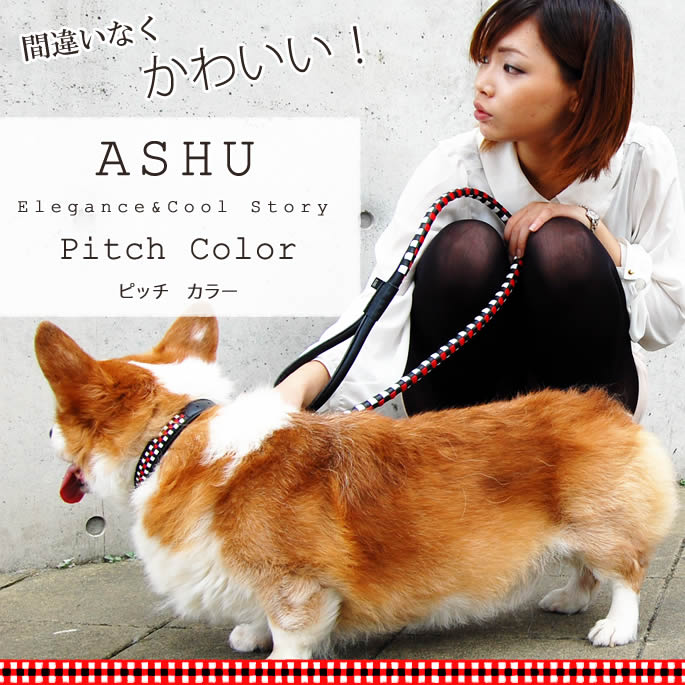 【割引クーポン配布中】首輪 ASHU ピッチカラーMサイズ【リードは別売り】 中型犬 レザー 革柴犬 サルーキにも人気 赤 黒のデザイン オリジナルドッグブランド 犬用首輪 お散歩 可愛い 犬のグッズ コーギー ペット用品 犬の首輪 豆柴 豆しば ペット用 ashudog-10006786 愛犬手作りご飯 ハウンドカム食堂 サンプル画像2