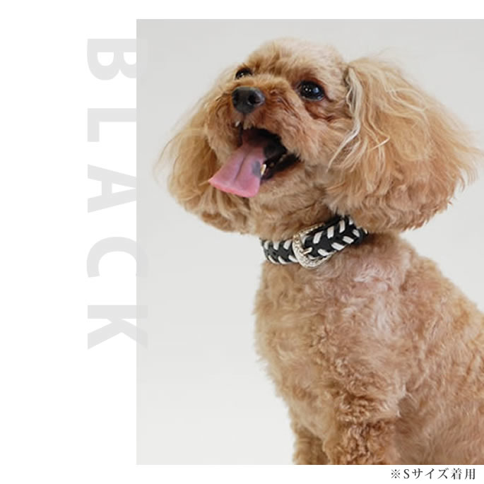 犬 首輪 ASHU サイドループレザーカラー SSサイズ【リードは別売り】