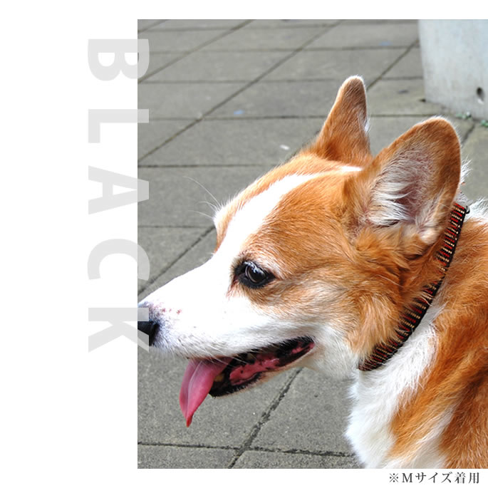 犬 首輪 大型犬 ASHU ステップカラー L 【リードは別売り】 丈夫で簡単テープタイプ おしゃれで黒 赤が人気 ビニール 日本製 ブランド