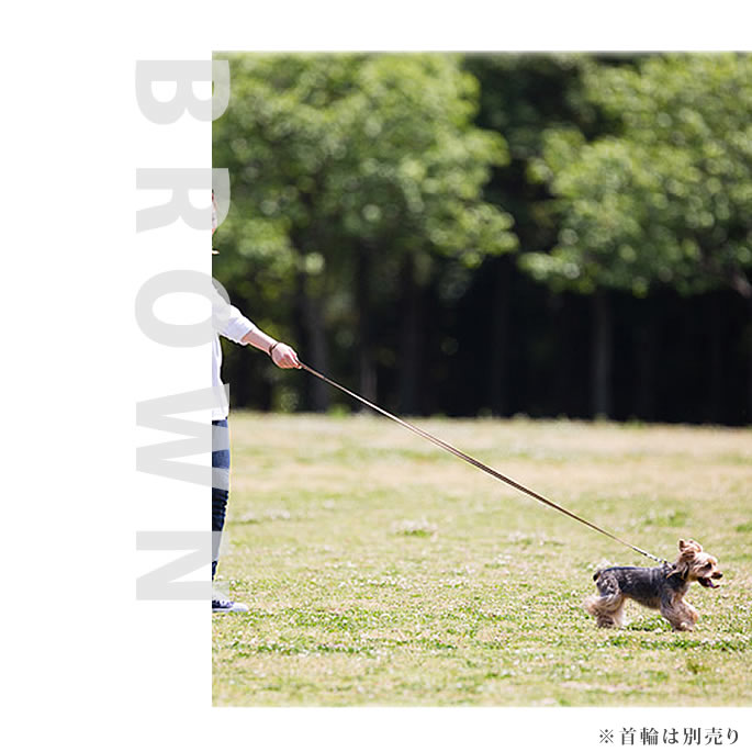 ASHU �ȥꥳ������ ���󥰥꡼�� [��Ĺ180cm ��1.5cm]�ڸ��ѥ꡼�� ������ ���襤�� �İ��� ��������