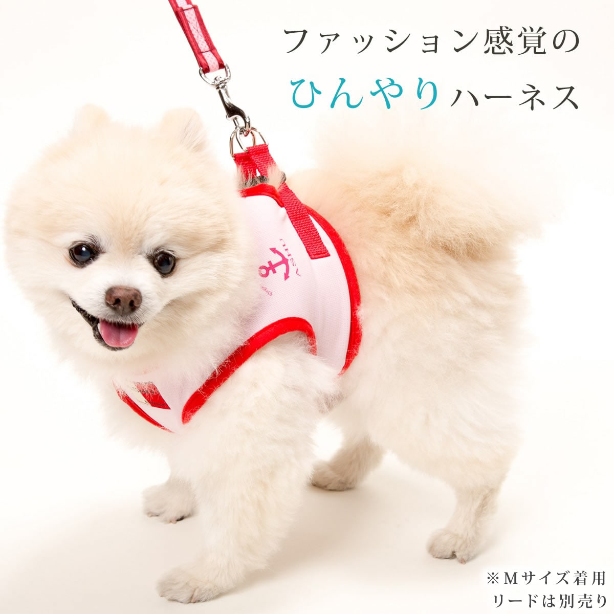 犬用ハーネス 中型犬 ASHU クーリングウェ...の紹介画像2
