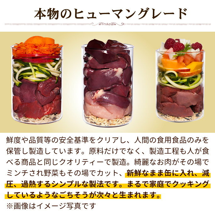 テラカニス　クラシックラム 400g　1缶　ラム肉とズッキーニ・キビ＆ディール 犬用　缶詰　ウェットフード　ドッグフード　ドック　コンプリートフード　手作り食の栄養補助にも　成犬　シニア ashudog-10013466 愛犬手作りご飯 ハウンドカム食堂 サンプル画像3