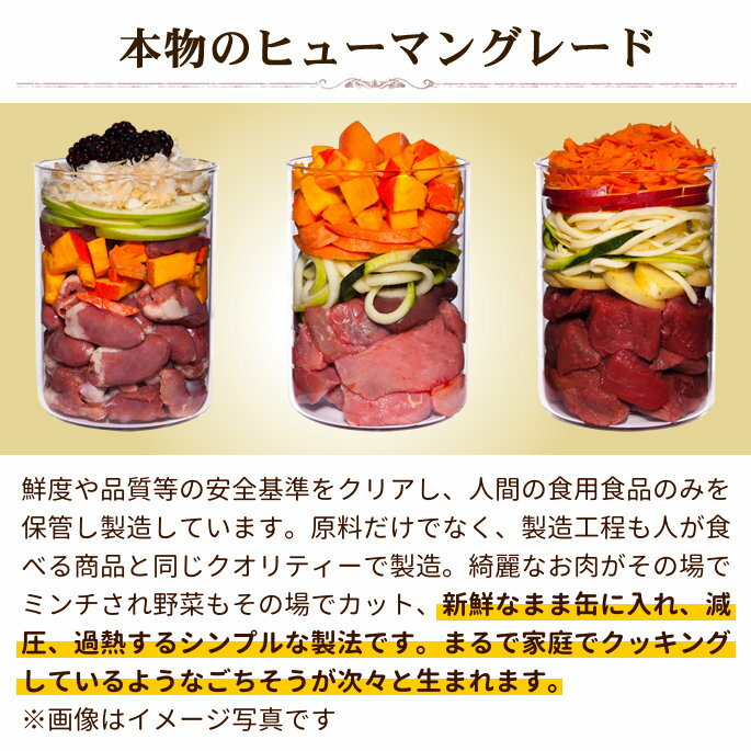 テラカニス　グレインフリー　鹿肉（ベニソン）400g6缶セット 　犬用缶詰　一般食　穀物不使用　ドッグフード　ウェットフード　無添加　野生の鹿とポテト　アップル&クランベリー　送料無料 主食 手作り食 トッピング 水分補給　帝塚山ハウンドカム