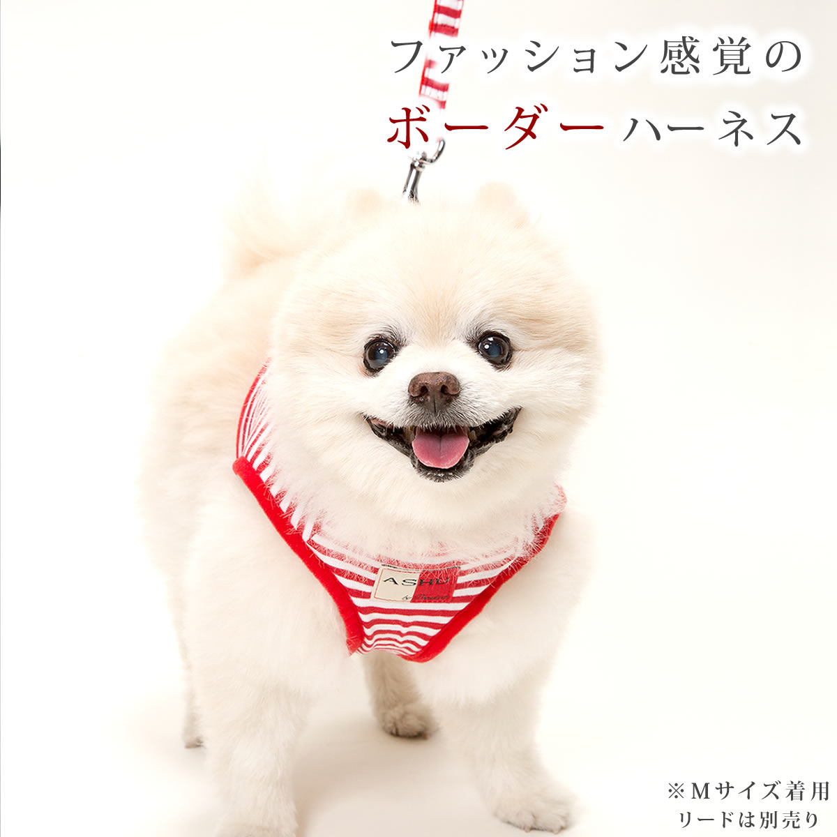 犬 ハーネス ASHU ウェアハーネス ボーダー M 【リードは別売り】 小型犬 子犬老犬にも優しい服型 ベスト型ハーネス胴輪 簡単 かわいいペット用ウエアハーネス【犬ハーネス ペット用品 ドッグ 高齢犬 シニア コーギー ウエア 夏】散歩アッシュ　洋服の上から ashudog-10010010 愛犬手作りご飯 ハウンドカム食堂 サンプル画像2