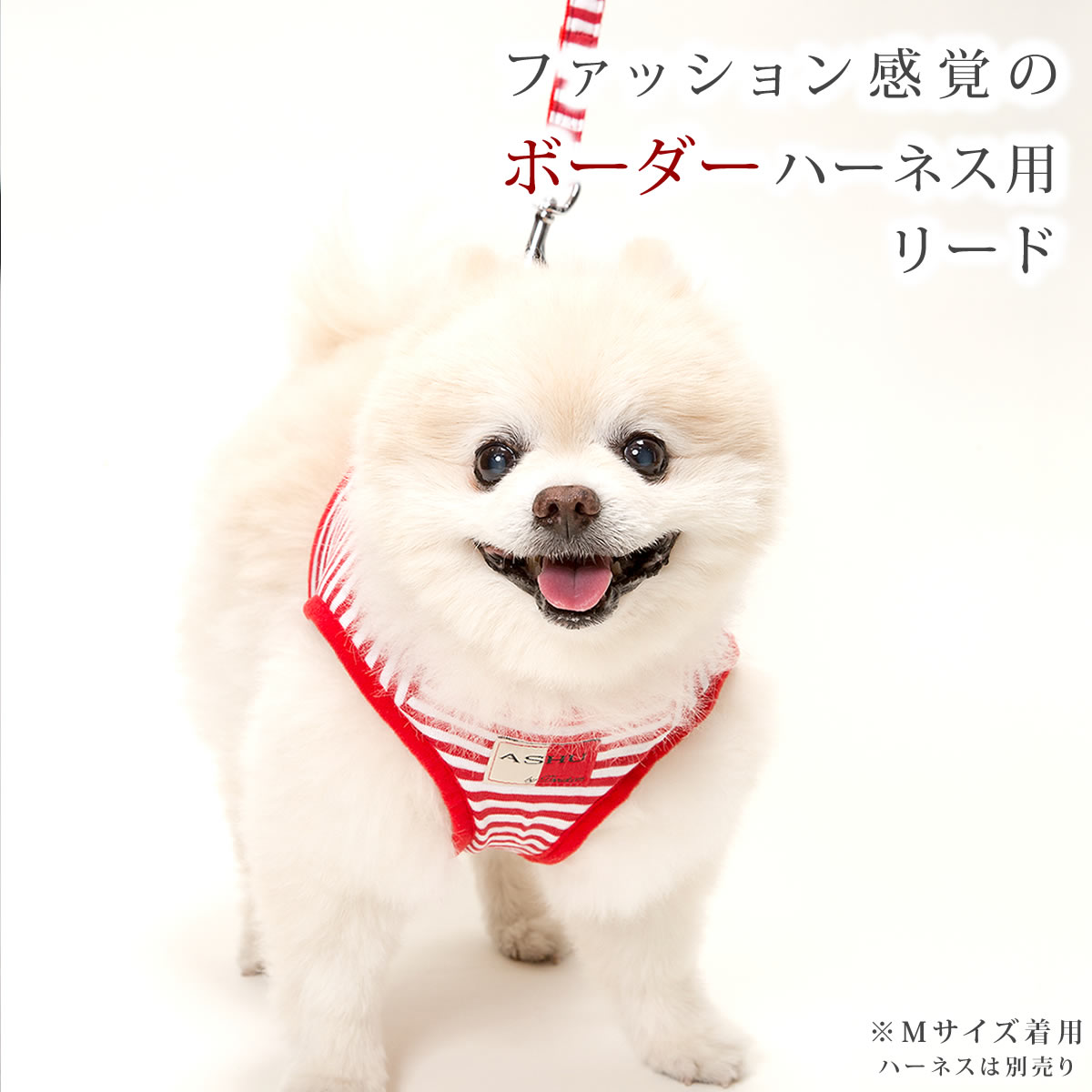 【割引クーポン配布中】ASHU ウェアハーネス...の紹介画像2